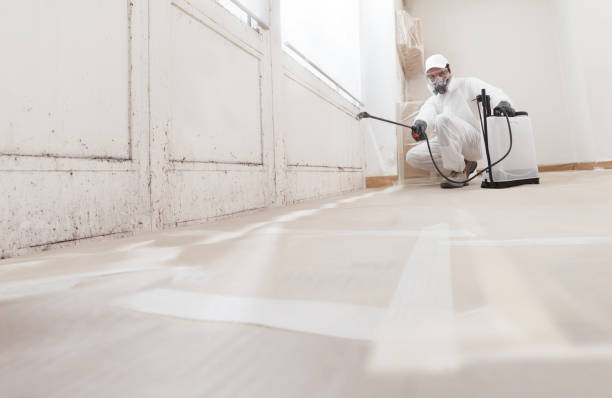 24/7 Emergency Mold Inspection experts in Worcester, PA