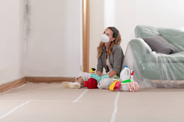 Reliable Mold Inspection contractor in Worcester, PA by WQB Mold Removal