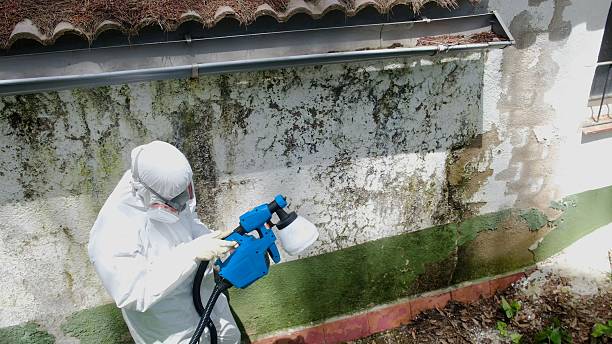 Top rated local Mold Inspection specialists in Worcester, PA